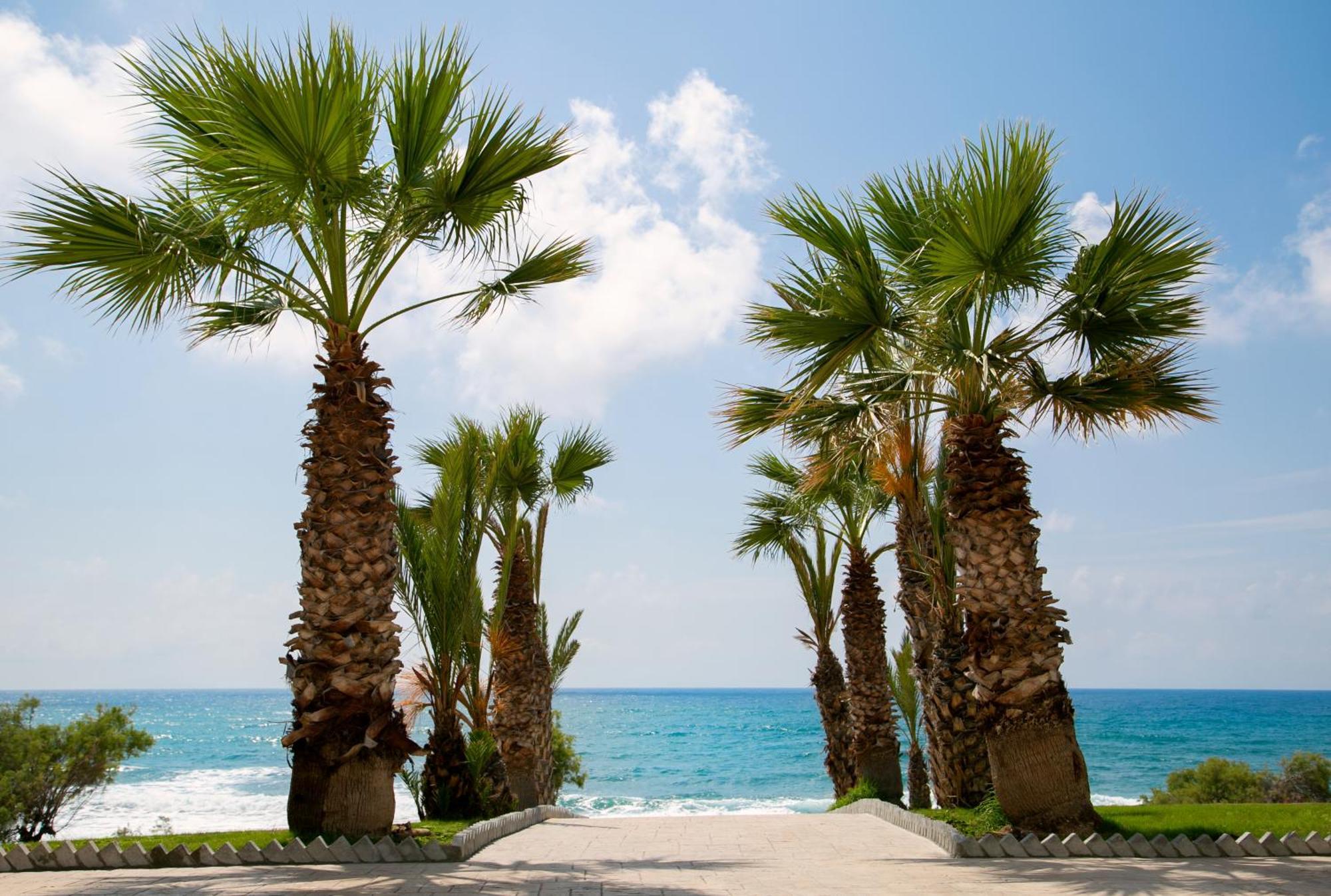 Louis Paphos Breeze Hotel Klorakas Exterior foto